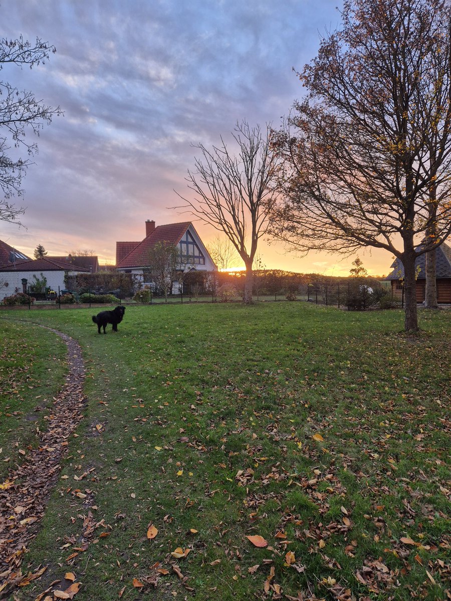 TOR DAO🔙🔚 tweet media