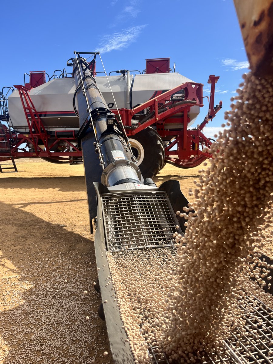 Spend less time filling and more time seeding 💪

The single-belt Convey-All conveyor fills the 11,629 L tank in around 6 minutes, with transfer rates up to 3,800 L/min.

Learn more with your local dealer today 👉🔗 loom.ly/u_BjJg0

#Morris #10SeriesAirCart #