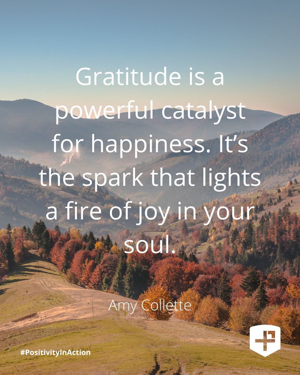 PosProject's tweet image. &quot;Gratitude is a powerful catalyst for happiness. It’s the spark that lights a fire of joy in your soul.&quot;
- Amy Collette
#PositivityInAction