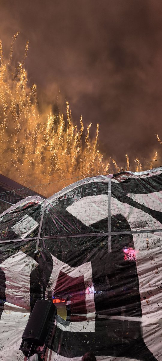 Co k tomu říct?! Miluji Kalamáry