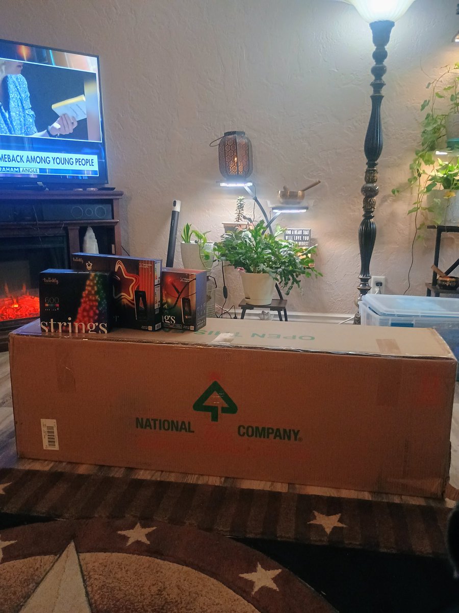 Xmas showed up today!😎

Why does it look like a lot of work and not what I want it to be?