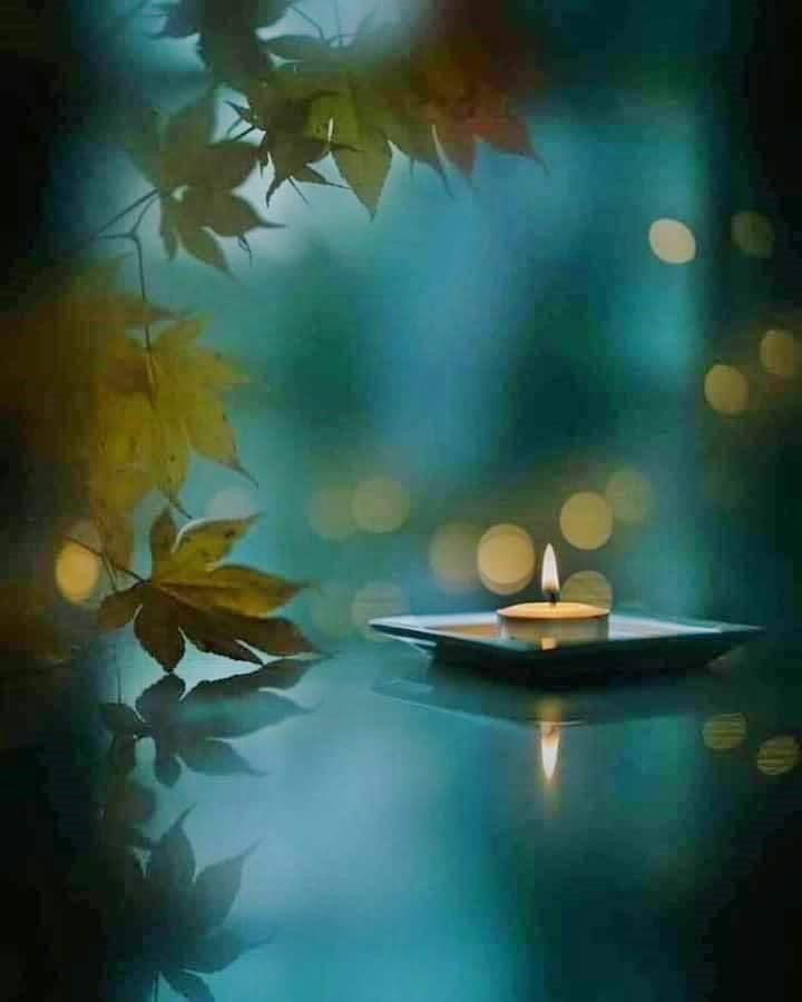 Cuando las personas que amas vuelan,una parte de ellos permanece confinada 
a tu corazón. El recuerdo de su sonrisa, su mirada, su perfume, su risa son cosas que nunca te abandonarán.
#FelizNoche 💖