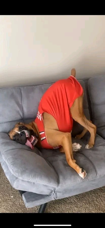 #MyResponseToWork
I'm gonna be late.