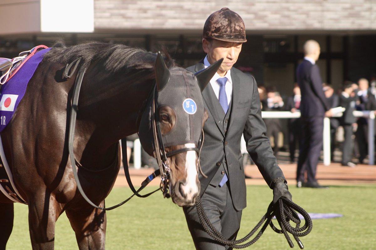 canonrii's tweet image. ⋆┈┈┈┈┈┈┈┈┈┈┈┈┈┈┈⋆

2025/11/23 京都競馬場
11R マイルチャンピオンシップ
ソウルラッシュ×C.デムーロ騎手

#ソウルラッシュ
#マイルCS

⋆┈┈┈┈┈┈┈┈┈┈┈┈┈┈┈⋆