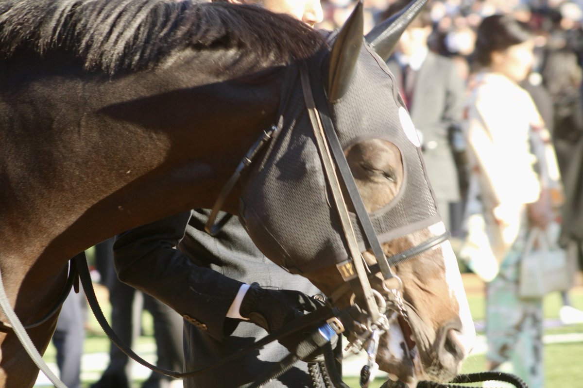 canonrii's tweet image. ⋆┈┈┈┈┈┈┈┈┈┈┈┈┈┈┈⋆

2025/11/23 京都競馬場
11R マイルチャンピオンシップ
ソウルラッシュ×C.デムーロ騎手

#ソウルラッシュ
#マイルCS

⋆┈┈┈┈┈┈┈┈┈┈┈┈┈┈┈⋆