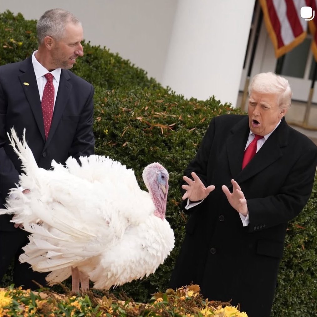 @MysterySolvent tweet media