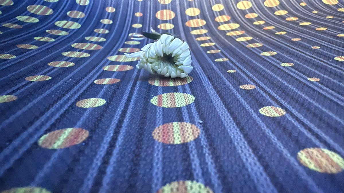 Was ahead of schedule and caught an early bus, where a flower was waiting for me. 
✨🥰