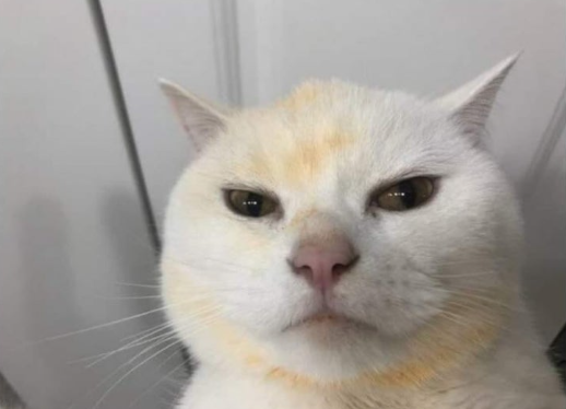 'INFINIT' 탈중앙화가 잘어울리는 프로젝트입니다.

<a href="/Infinit_Labs/">INFINIT</a> 

탈중앙화는 '크립토' 생태계에서 가장 중요한 핵심 과제입니다.
중앙화된 화폐는 소수 권력자들에 의해 휘둘리기 쉽고, 힘이 없는 우리들은 그들의 감시망 속에 살아야 하기 때문이죠.

그래서 크립토가 점점 각광받고 있는게