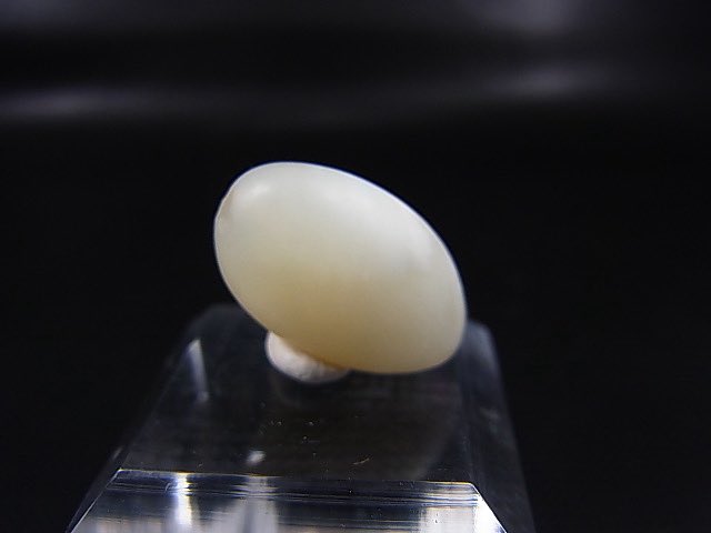 和田玉 羊脂 白玉 鼻煙壺 彫刻 馬 猿 軟玉 ネフライト 古翡翠