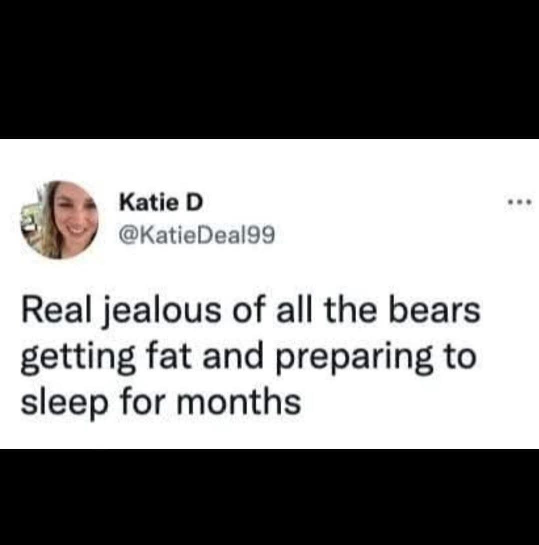 realityisralph's tweet image. #Hibernate #Hibernation #Fat #Fatty #Bears 🥰💞🥳😇🤘💪💯😃🍽️🐻
