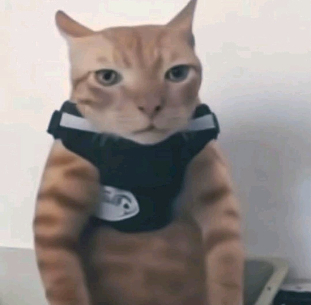 Grezze_'s tweet image. Bueno, como incentivo para mi mismo, arranquemos con otra apuesta 🗣️

Si no llego a pro está temporada (mi primer push) me pongo de nombre el comentario con más likes y ese mismo comentario le regaló un pase.