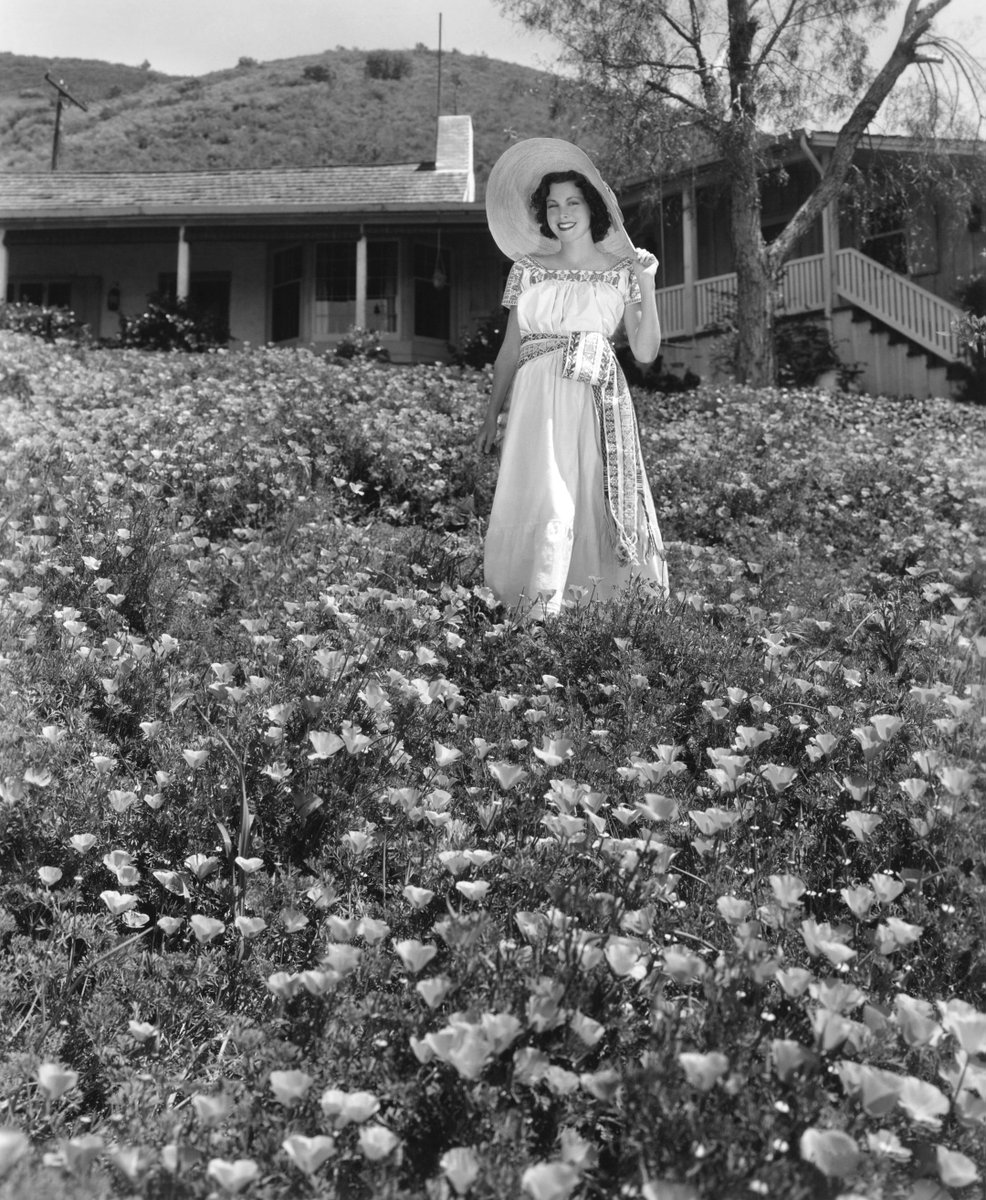LaurasMiscMovie's tweet image. Frances Dee #BOTD and Joel McCrea on their ranch. #FrancesDee