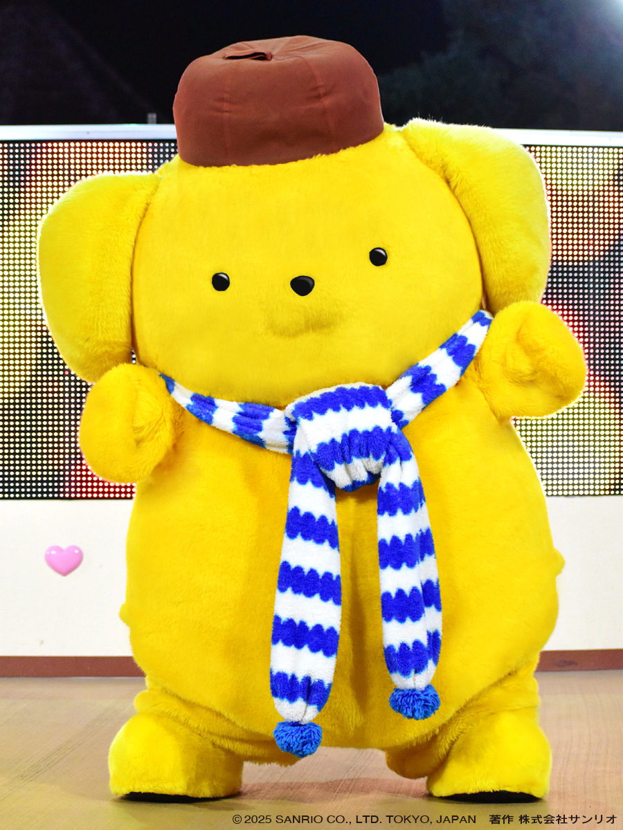 TTぽむぽむ ぷちとも Sanrio characters ポムポムプリンのこうえんセット