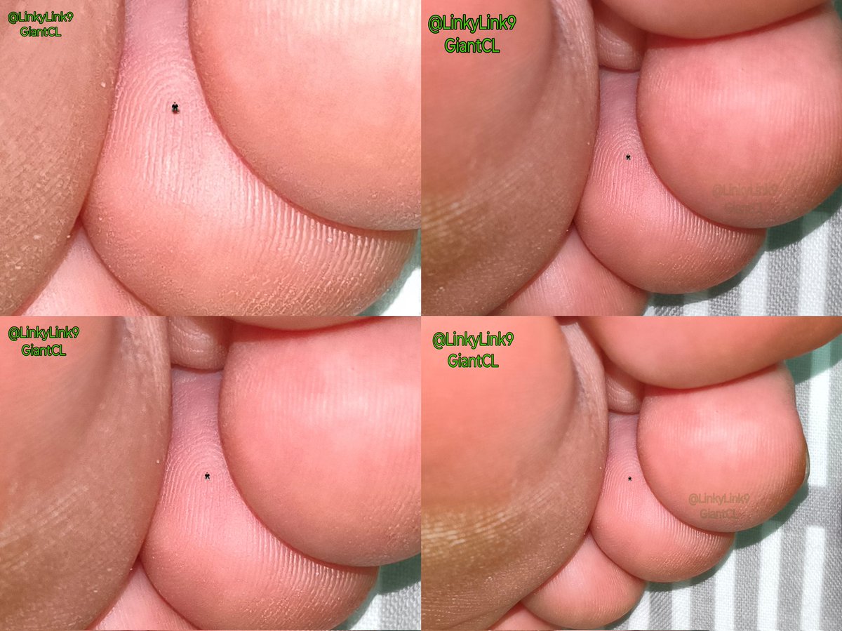 Giant CL tweet media