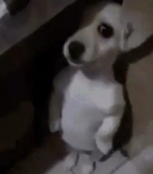 Quando ouvi "divine" a primeira coisa q postei foi falando q o skz já podia fazer show aqui dnv pra eu ouvir essa ao vivo.... nunca mais falo nada também