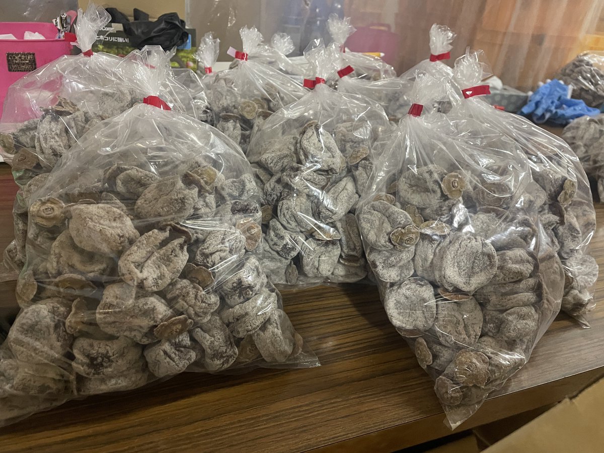 今日も干し柿づくり。ヘタ部の皮むき作業を進めております。徐々に今年の製品も出来上がってきました。柿の表面に細かいキヅをつけることで
中の糖分が表面に吹き出して、白い粉で覆われます。枯露柿と呼ばれる干し柿になります。
まろやかな甘みが特徴です。
#山形県鶴岡市
#庄内柿
#干し柿 
#枯露柿