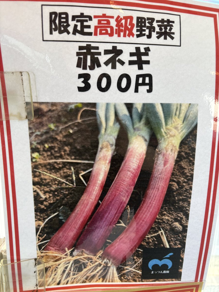 jindouya's tweet image. 本日のフォローサービスは
「薬味ネギ」or｢キャベツ｣

個数限定ゆでたまご

必ずフォロー画面を先にご提示下さい

本日から限定「赤ネギ」トッピングやります‼️
シンプルに葱の甘さを堪能してもらう感じです
赤ネギの頭の部分も添えて提供致します。
金額300円‼️ボタンあります。
売り切れ御免🙇‍♂️