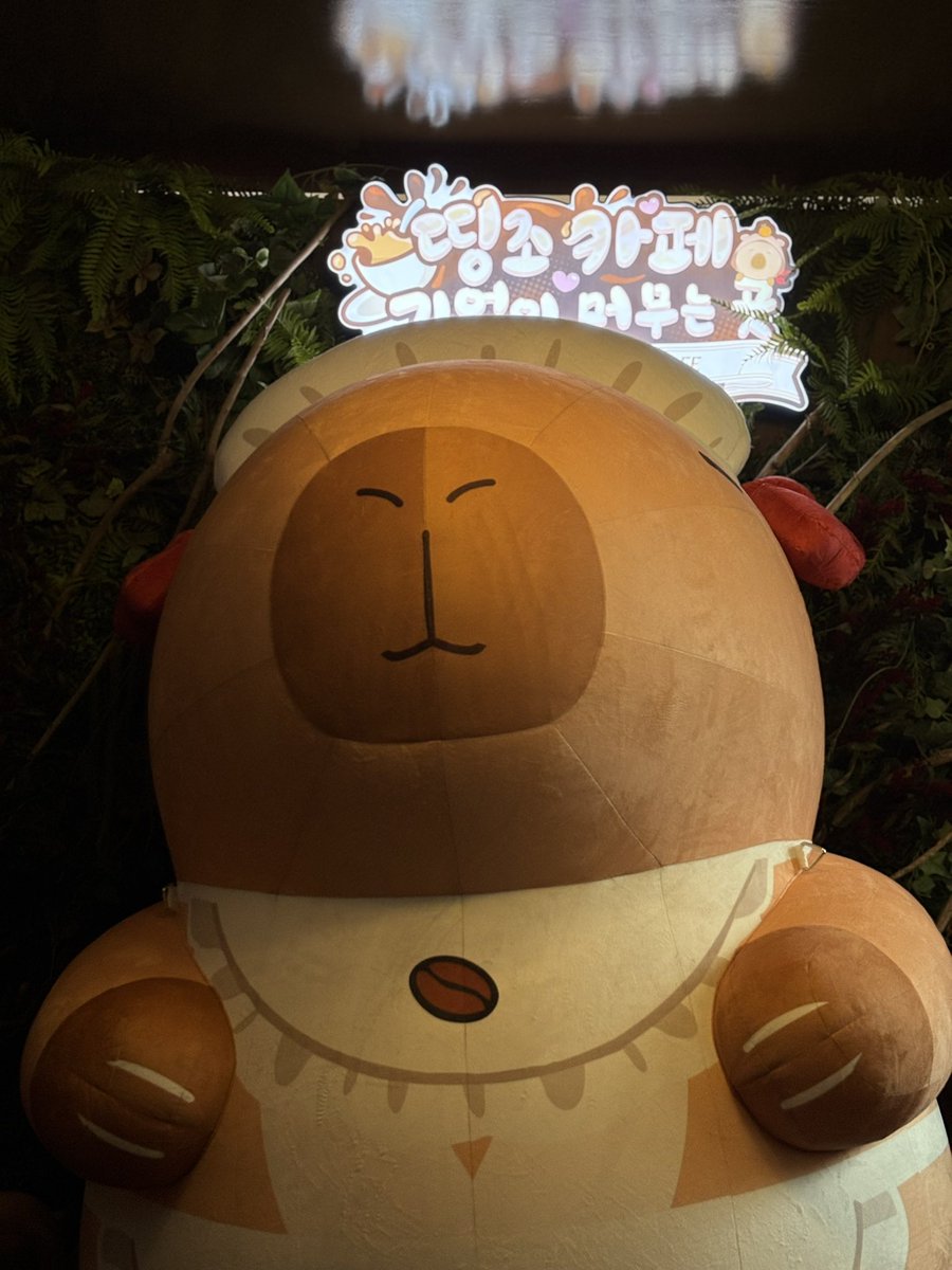 [띵조 카페: 기억이 머무는 곳] 눈으로 담고, 기억을 남기는 카페   기억도 남기고, 기억에도 남고.  #명조 #띵조카페 #명조워더링웨이브