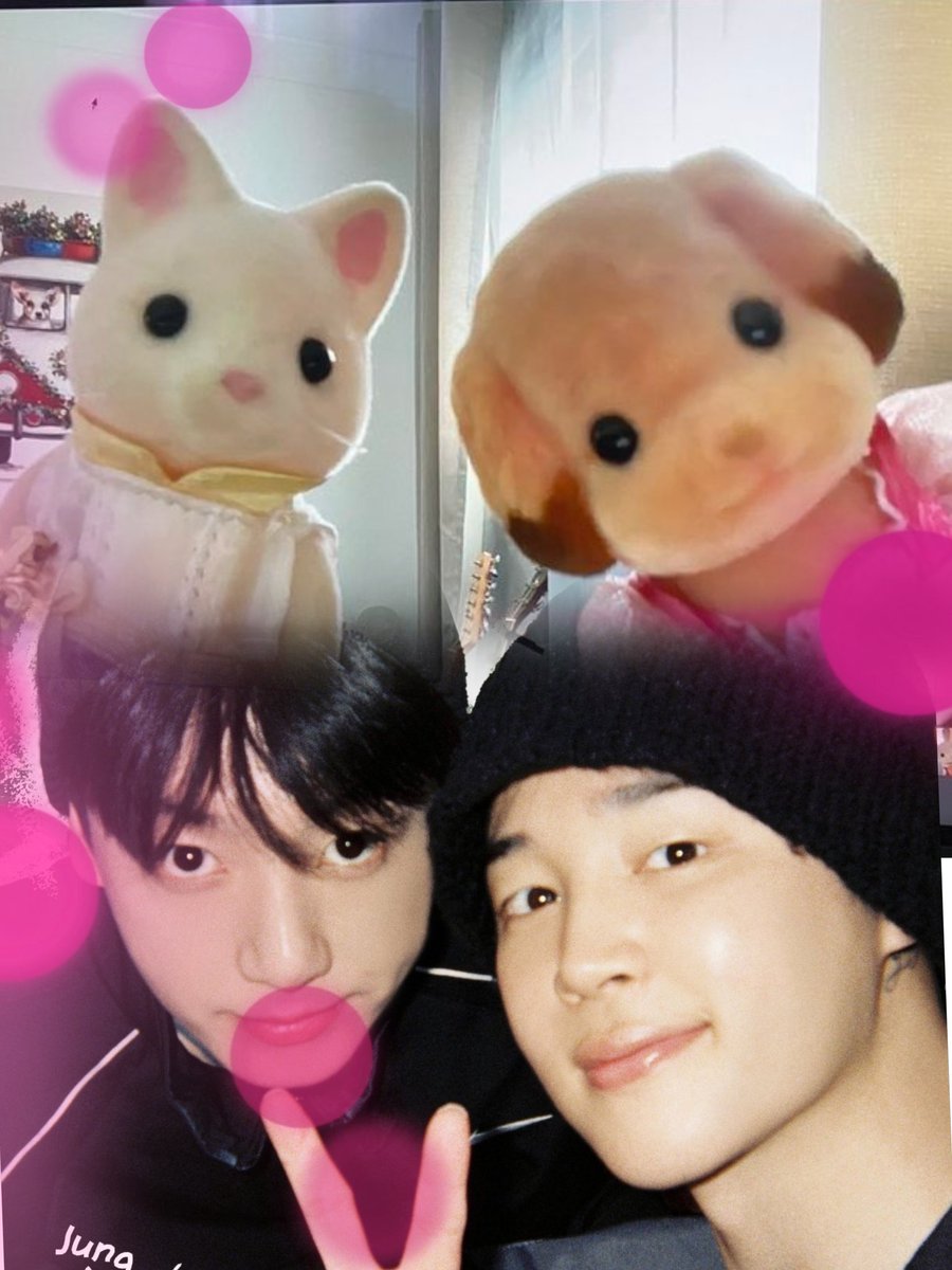 Dove 🕊️ (@dov997) on Twitter photo 