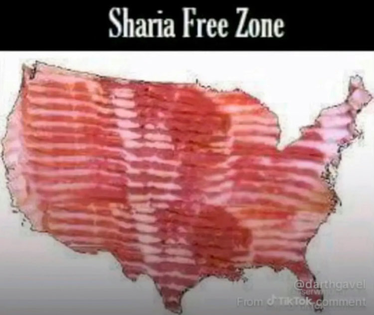 OneBadDude_'s tweet image. 🫡🇺🇸🥓