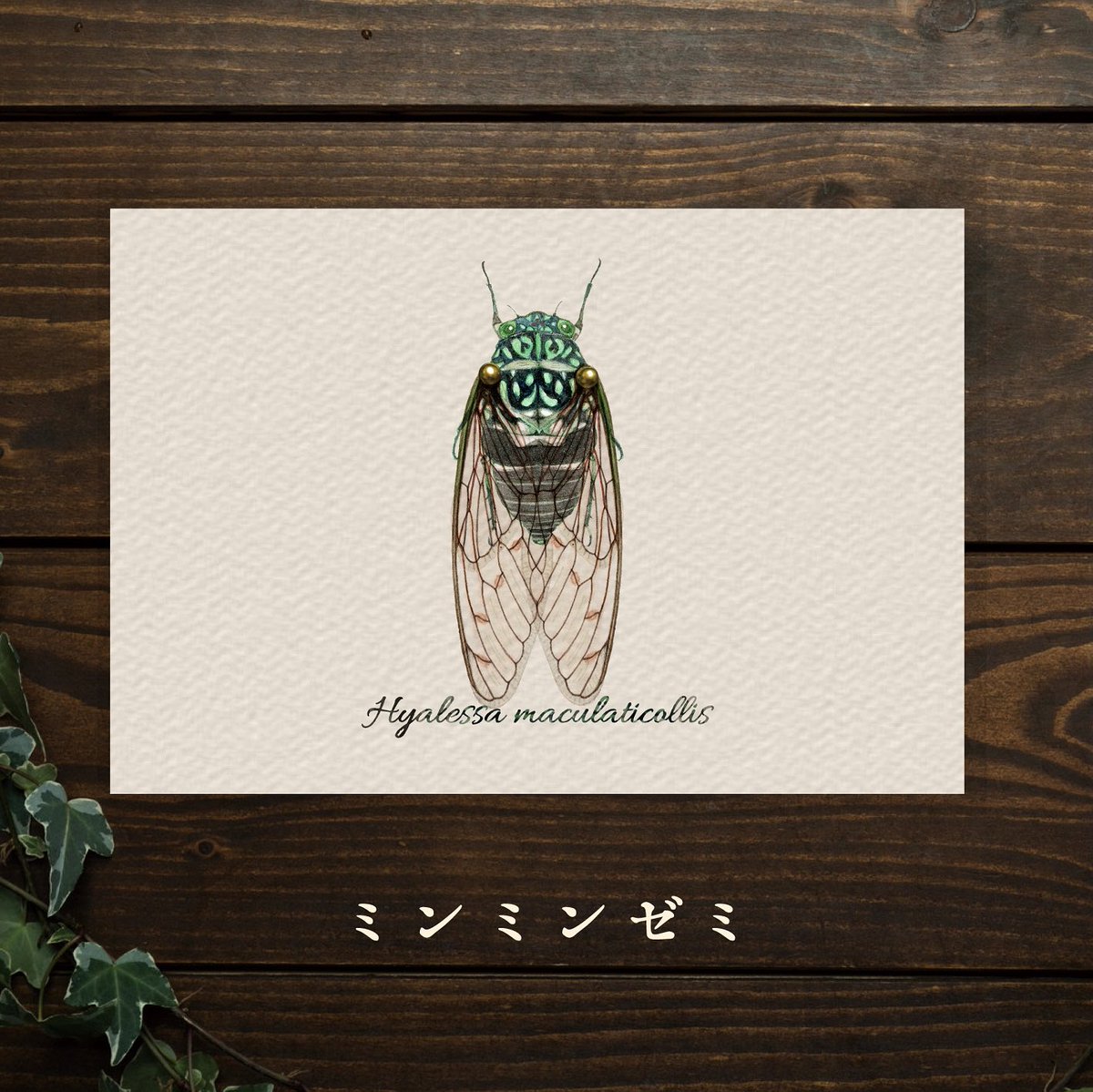 みなみあすか (@iseki373) / Posts / X