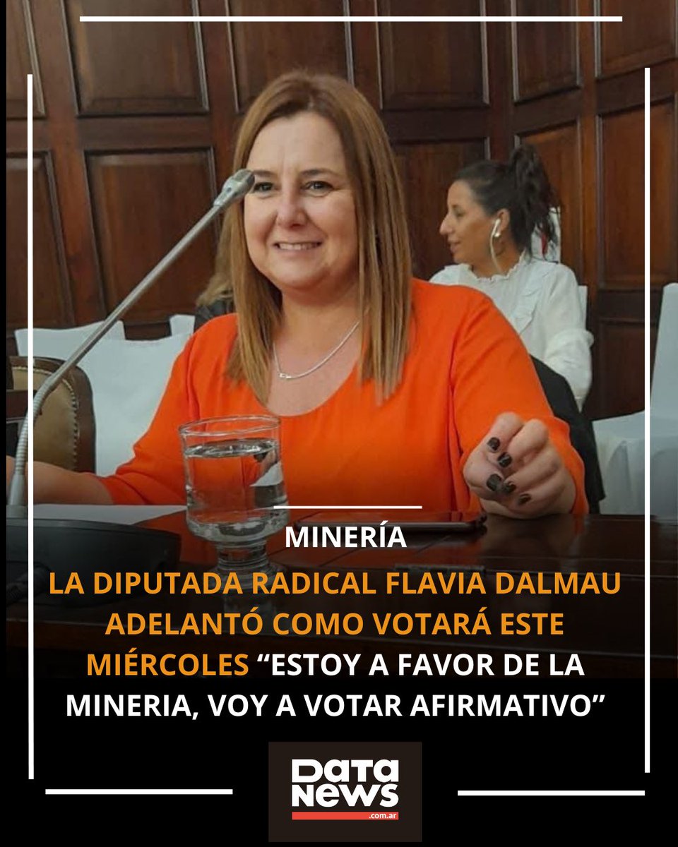 Proyecto San Jorge: consultada por Data News la diputada de la UCR Flavia Dalmau confirmó que votará a favor este miércoles