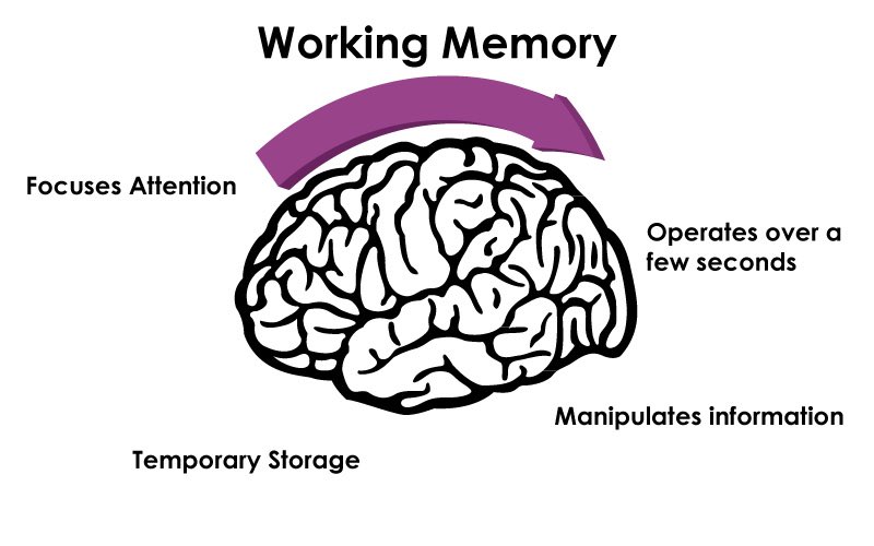 الذاكرة العاملة working memory 
تتأثر ب الإدمان ممايقلل القدرة على معالجة المعلومات الجديدة واتخاذ قرارات عقلانيه ف الوقت الفعلي.