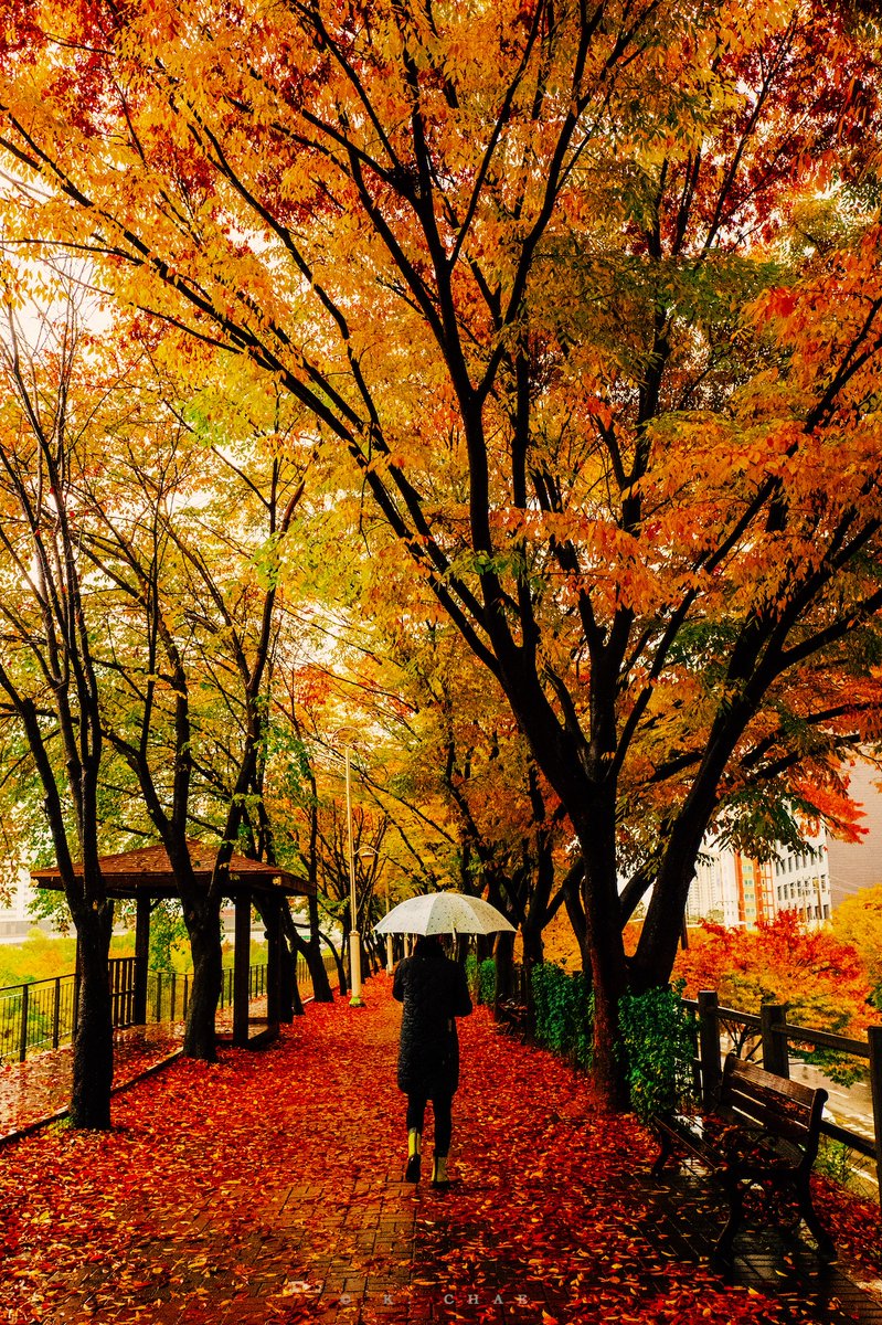 Good Bye, Autumn.
가을, 안녕.