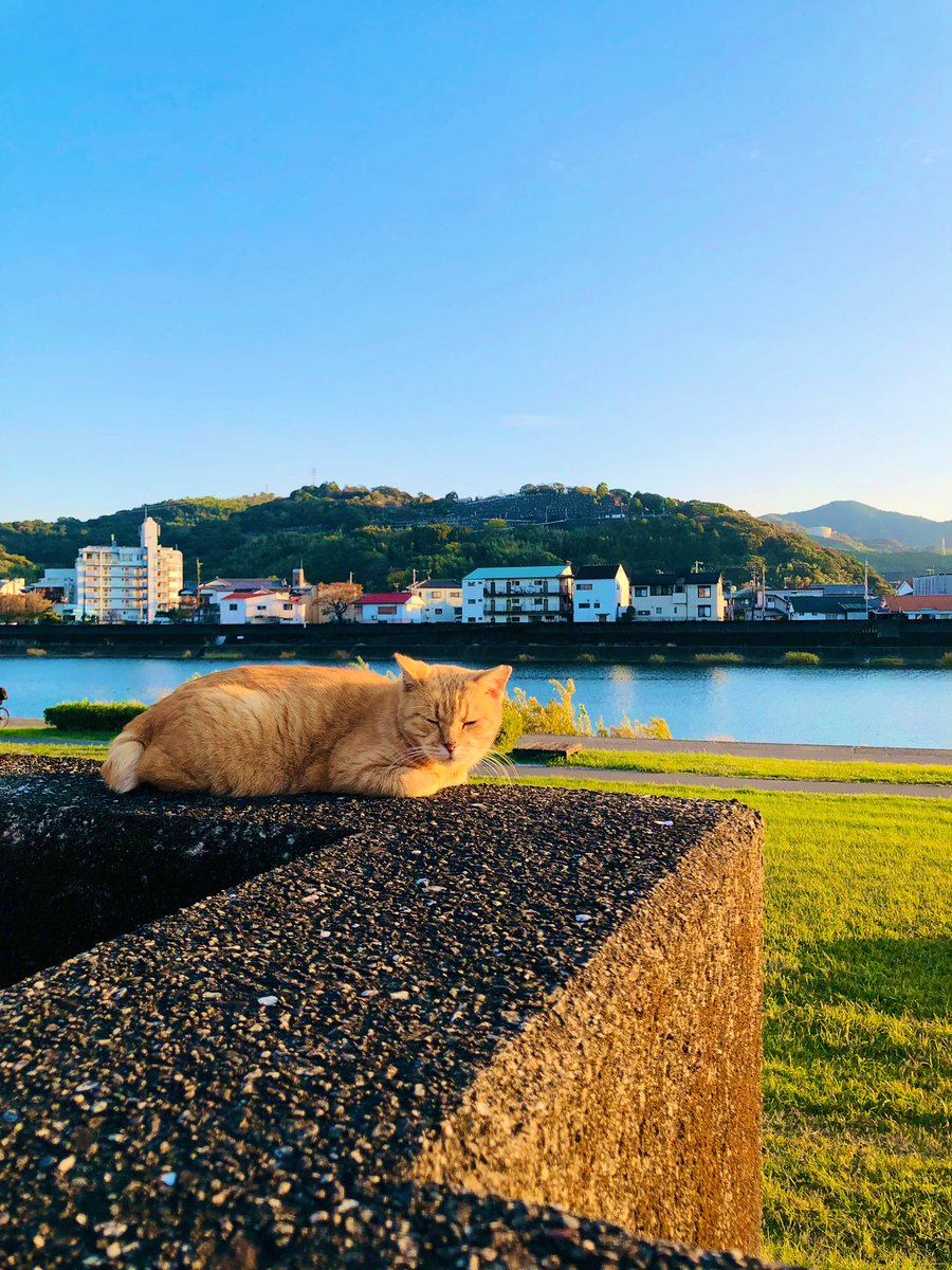 mametaro1210's tweet image. 昨晩、父と一緒に眺めた…細い月。私が先に逝くとしても…そぅじゃないとしても、いつか、どちらかが思い返した時に、懐かしさと共にその心を温めてくれるだろうか。そして、何気ない一瞬と特記事項のない一日が…どれ程に尊いか、を。もっともっと…と望むより、せめてせめて…と希む、いまを。#日々