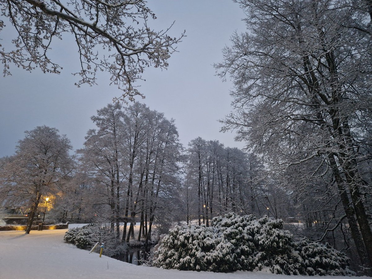 _kirisma's tweet image. snowww and coldddddd, veryyy coldddd