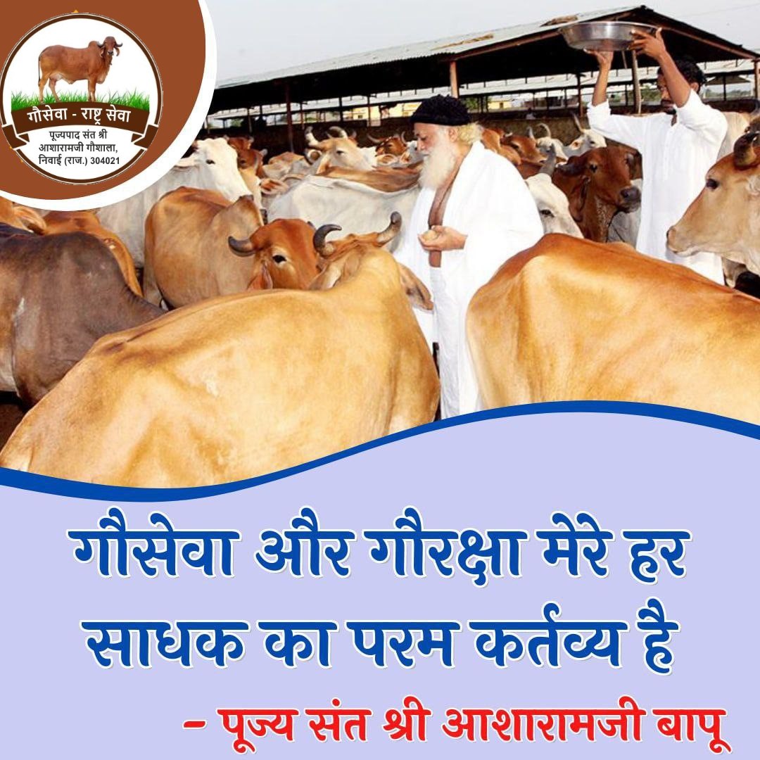 AshramGaushala's tweet image. प्राचीन काल में भारतवासी गौ-धन को ही मुख्य धन मानते थे और हर प्रकार से #गौमाता की रक्षा, गौ-संवर्धन और गौ-पालन करते थे। वेदों से लेकर आर्षग्रंथ गौ-पालन और गोपालकों के इतिहास से भरे है।

आज के दौर में भी Sant Shri Asharamji Bapu जैसे महापुरुष गौ-सेवा की महिमा का वर्णन करते है।