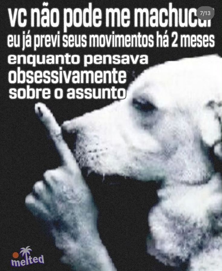 misantrophico's tweet image. meus últimos relacionamentos resumidamente: