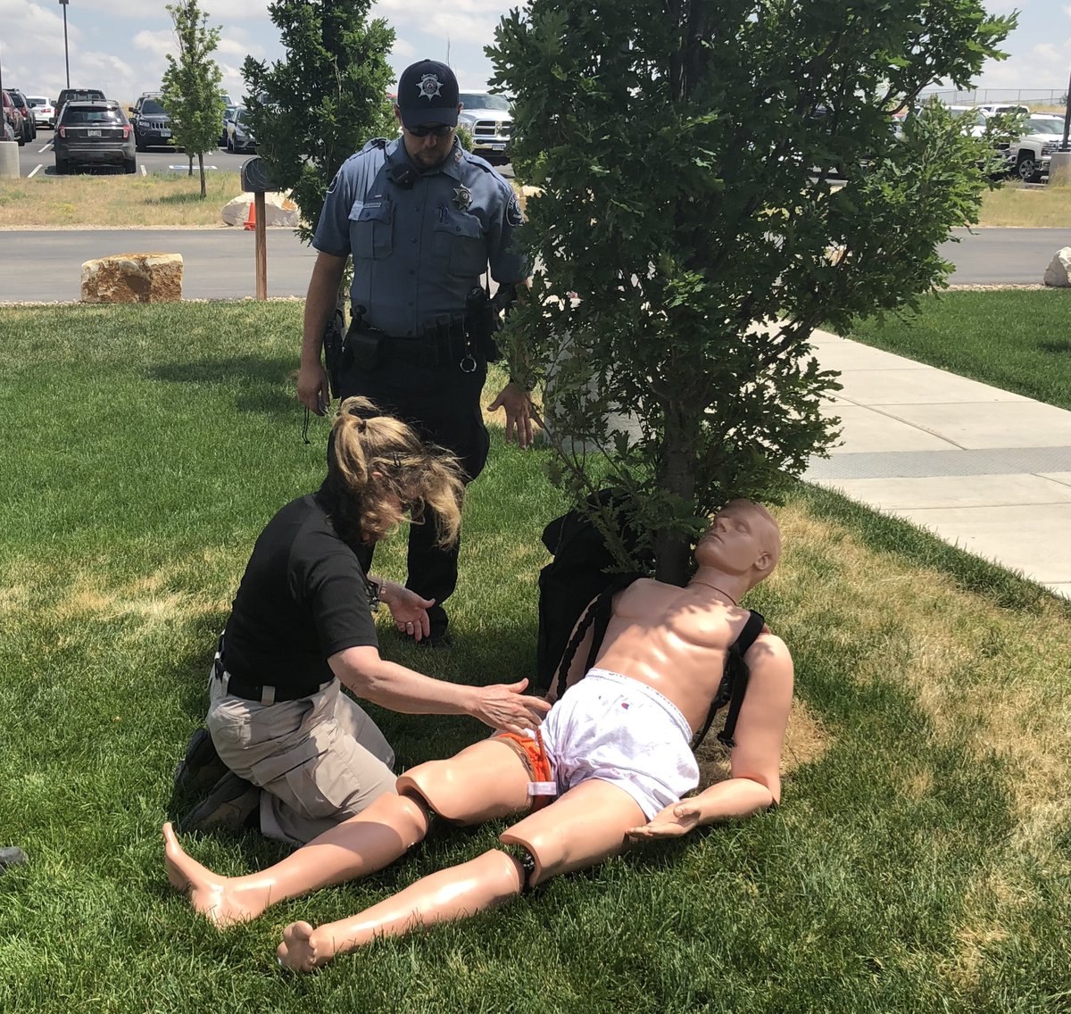 Colorado Rangers tweet media