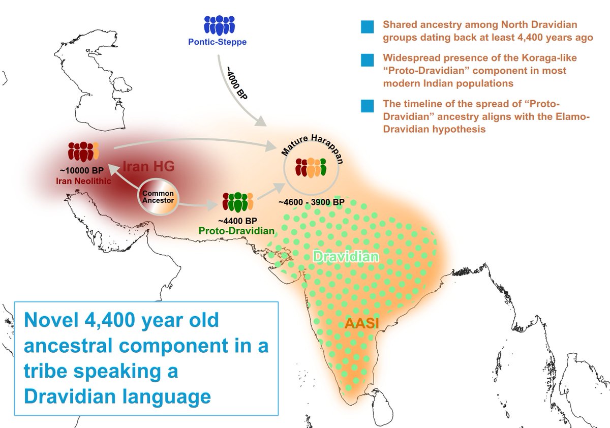 mjhdl's tweet image. Genetic research shows South Asians descend from Iranian-related farmers, Steppe pastoralists, and ancient indigenous hunter-gatherers. New evidence suggests a fourth ancestral source linked to Dravidian-speaking groups, a distinct Proto-Dravidian lineage emerging around the rise…