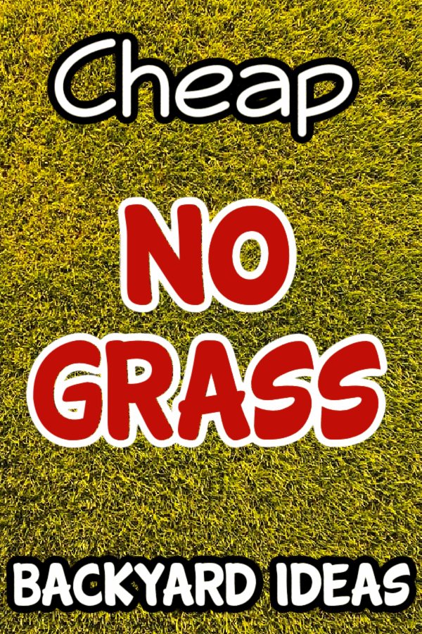 Dian_Farmer_'s tweet image. Transform your outdoor space without breaking the bank. Try easy DIY projects for a green and budget-friendly yard. #BudgetBackyard #DIYideas

dianfarmer.com/cheap-no-grass…