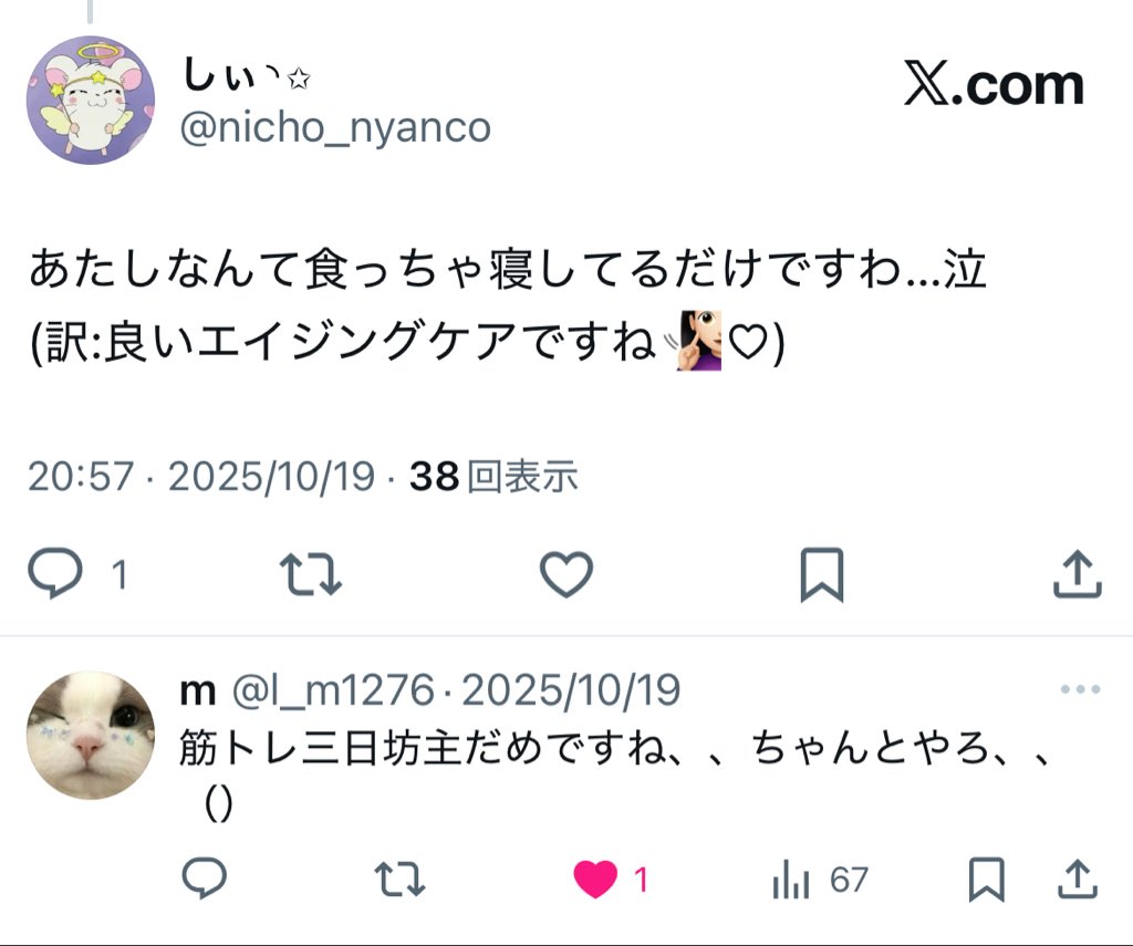 しぃ◝✩ tweet media