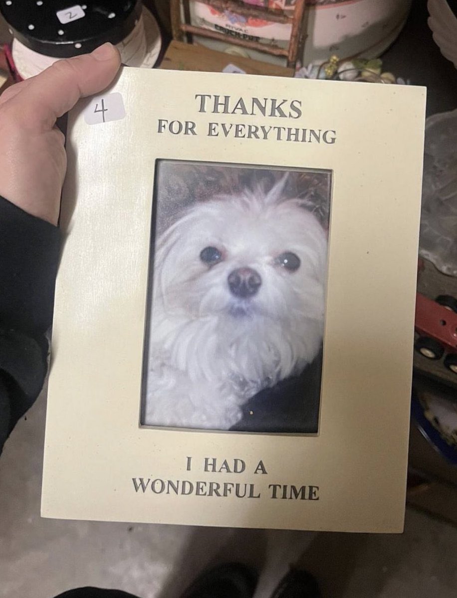 atlanticesque's tweet image. 