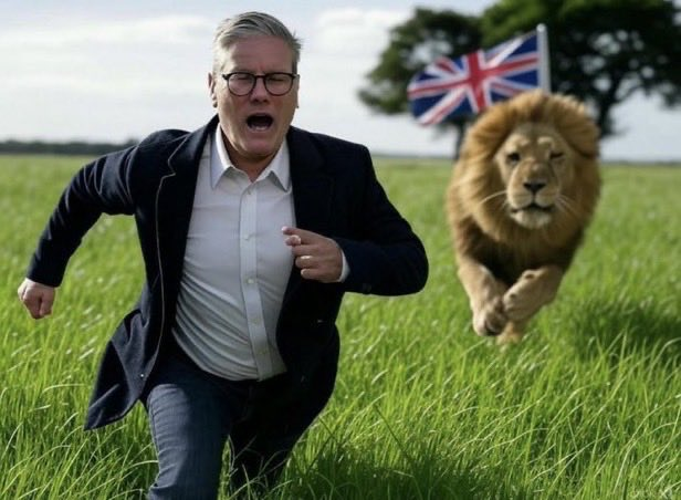 N Ecc 🏴󠁧󠁢󠁥󠁮󠁧󠁿🏴󠁧󠁢󠁥󠁮󠁧󠁿🏴󠁧󠁢󠁥󠁮󠁧󠁿 tweet media