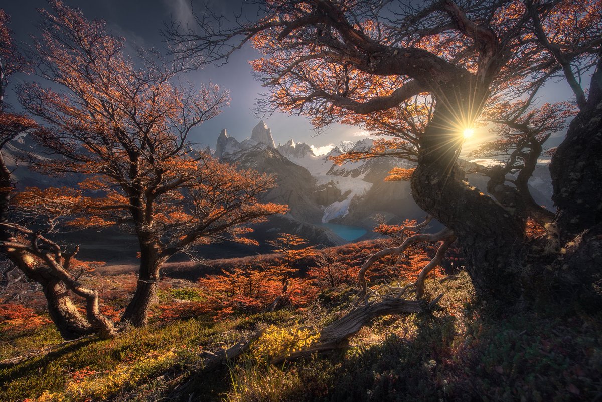 Ty Lekki tweet media