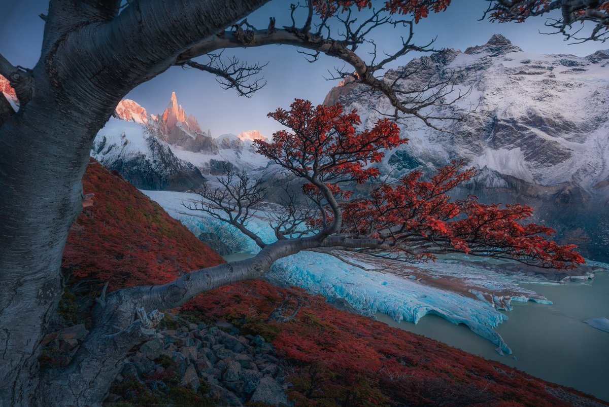 Ty Lekki tweet media