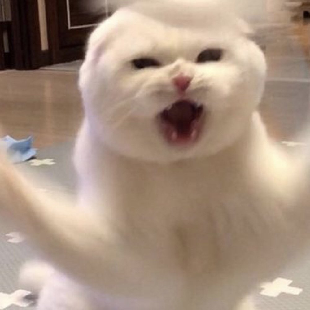 naneng_jaa's tweet image. รับบทแมววีนตลอดไป 🙀

MAGIC VIBES MAXIMIZED X SJ

#GMMTV2026XSurfJava
#javabh @javabh28