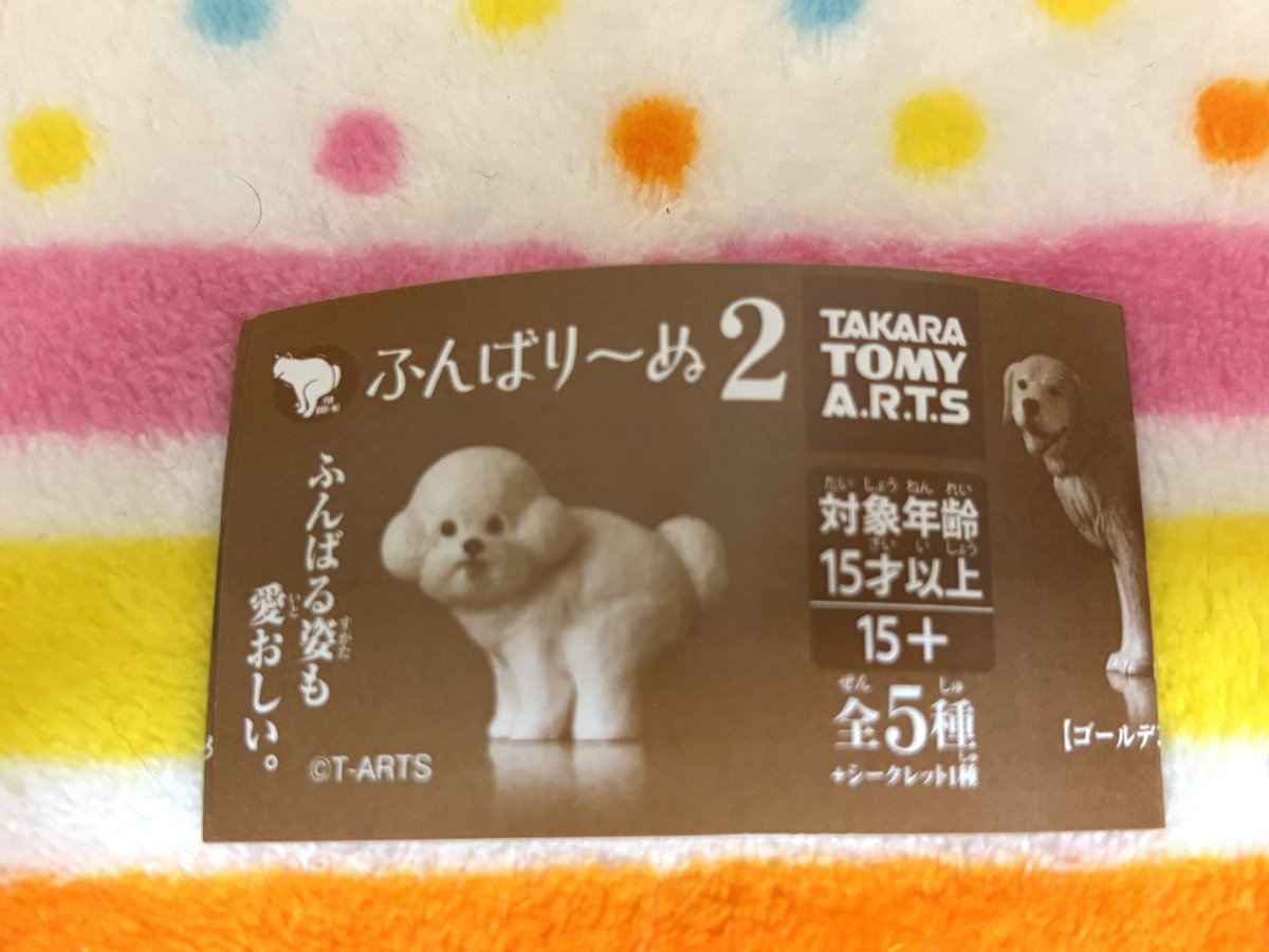 tibi_makiusa's tweet image. 11月25日、たまたまSNSで見てから、ずーっと欲しかった『ふんばり〜ぬ2』遂に巡り会えました‼️
以前ラブラドールレトリーバーを飼っていたので、ゴールデンレトリーバー狙いで、くじ運いいにーちゃんにガチャガチャを回してもらったところ、ゴールデンレトリーバーが‼️
うれしー＼(^o^)／