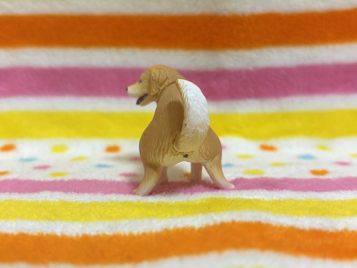 tibi_makiusa's tweet image. 11月25日、たまたまSNSで見てから、ずーっと欲しかった『ふんばり〜ぬ2』遂に巡り会えました‼️
以前ラブラドールレトリーバーを飼っていたので、ゴールデンレトリーバー狙いで、くじ運いいにーちゃんにガチャガチャを回してもらったところ、ゴールデンレトリーバーが‼️
うれしー＼(^o^)／