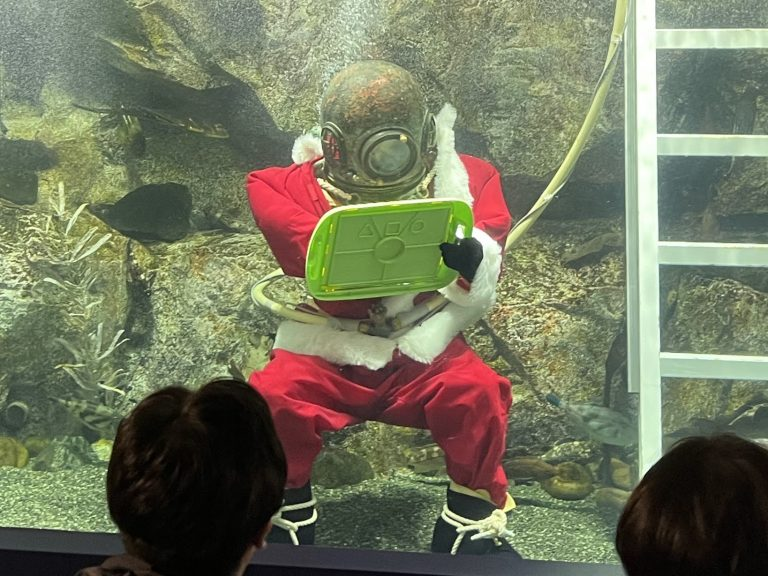 #久慈市 冬の #もぐらんぴあ へようこそ！12月2日(火)~28日(日)、久慈地下水族科学館で冬の企画展開催！🎅イルミネーションやサンタもぐり、🐢かめ吉のごはん体験など、冬だけの楽しい体験が盛りだくさん！ 暖かい館内でゆったり楽しもう✨
#水族館 #岩手 #三陸 #三陸防災復興プロジェクト