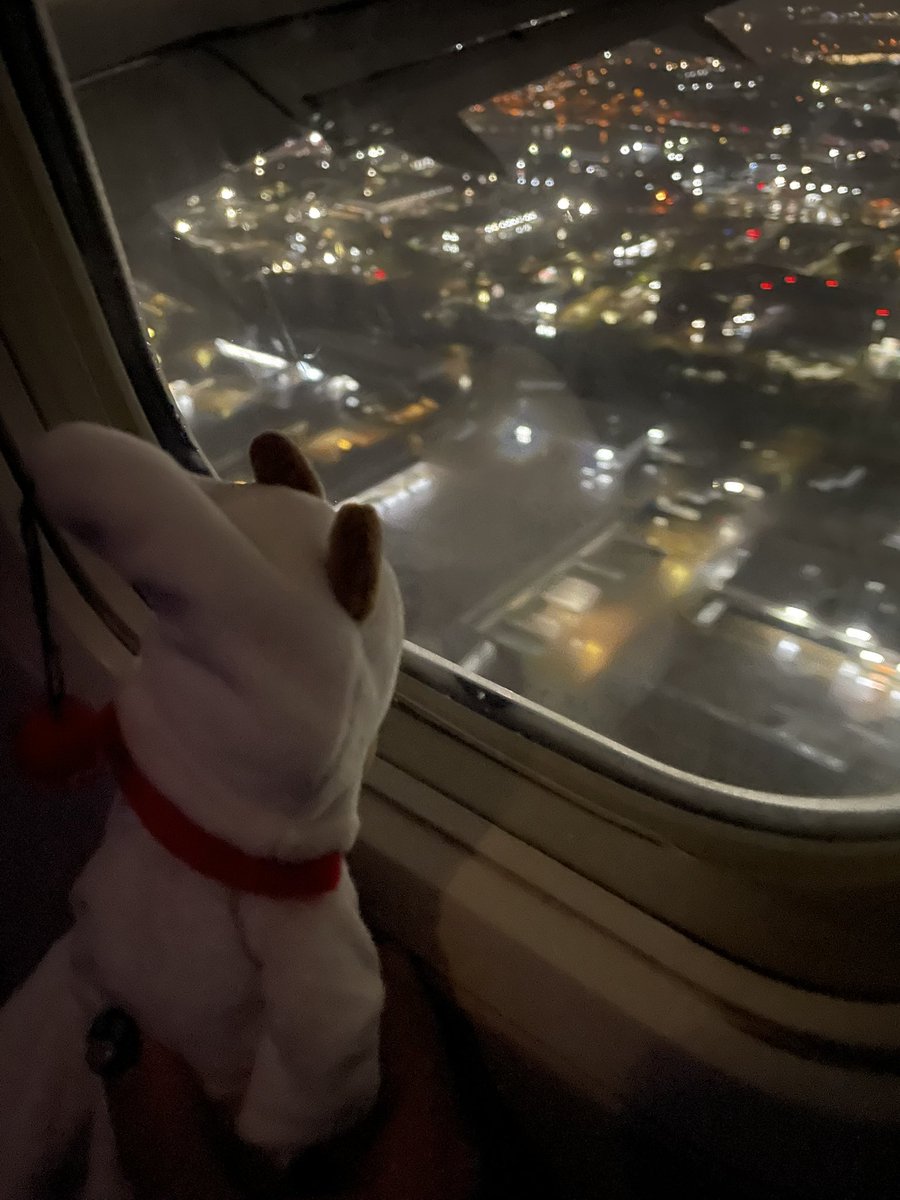bartbaconcat's tweet photo. rosa in the air https://t.co/12LBh6GtsI