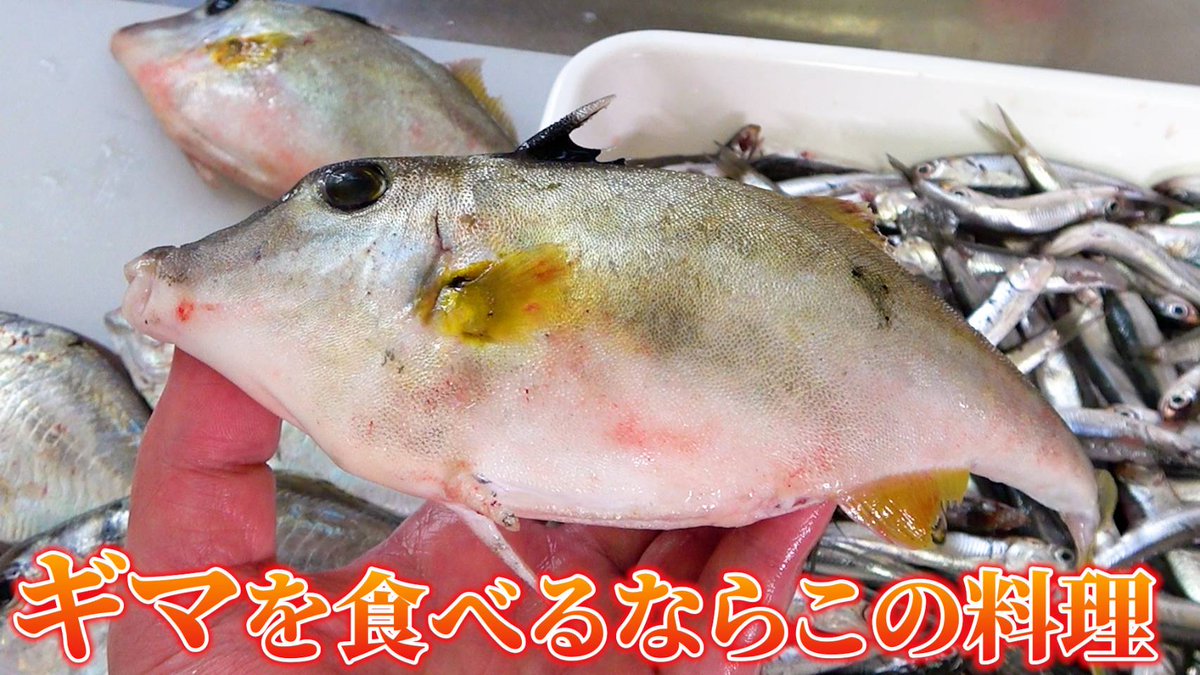 へんおじ へんな魚おじさん (@_Sakana_Ojisan) / Posts / X