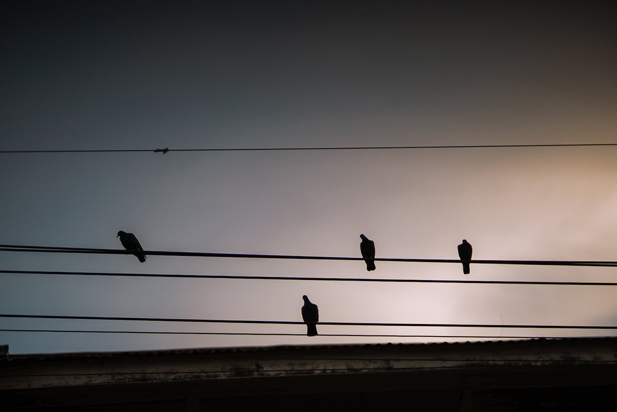 photoboy47's tweet image. Snap
#introvert #photographer #สัตหีบ #ระยอง #ชลบุรี