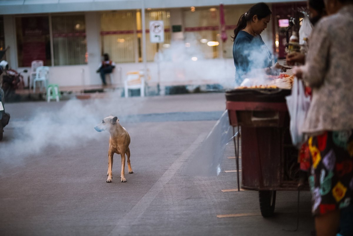 photoboy47's tweet image. Snap
#introvert #photographer #สัตหีบ #ระยอง #ชลบุรี