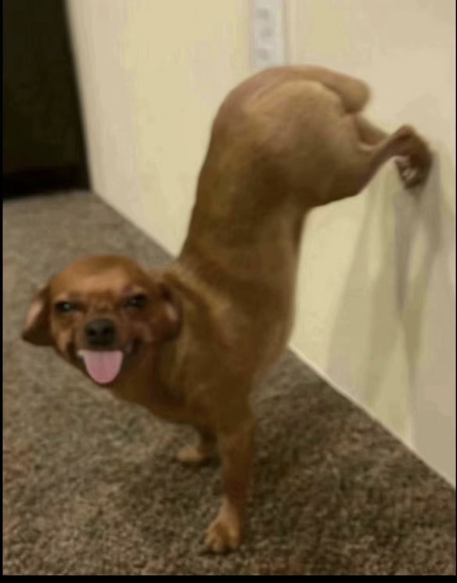 syd ates tweet media