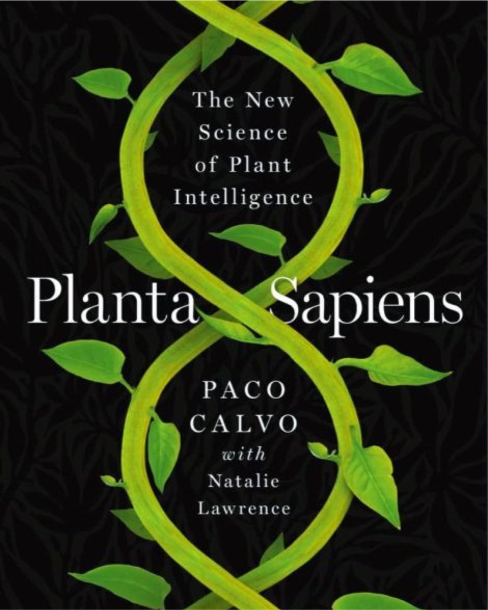 HitPlay Productions tweet media